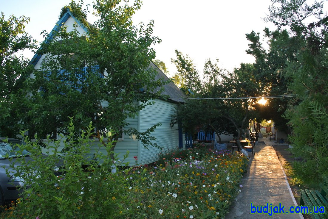 База отдыха Плай - территория. Курорт Рассейка. Фото N 7712. 2016 год